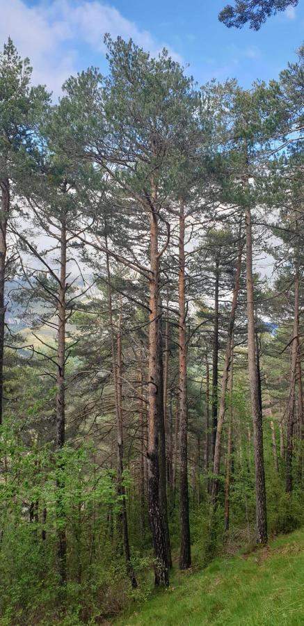 Casa Castel Turismo Rural Serrate ภายนอก รูปภาพ